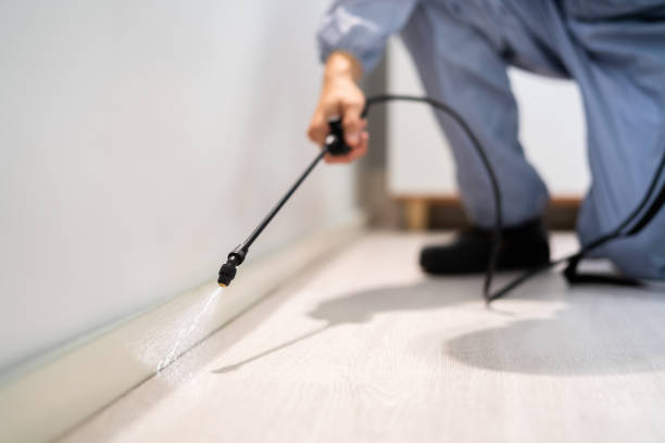 Bed Bug Pre-Treatment Preparation Assessment in Ridgely