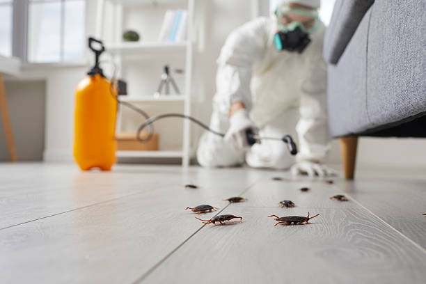 Post-Treatment Bed Bug Interceptor Monitoring in Ridgely